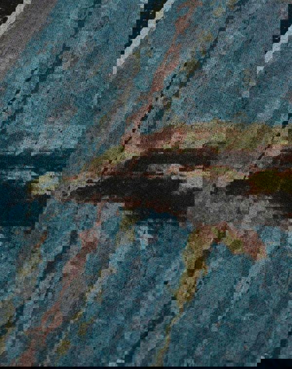 Amplified Clothing Womens Black Distressed Stone Roses Print Sweatshirt