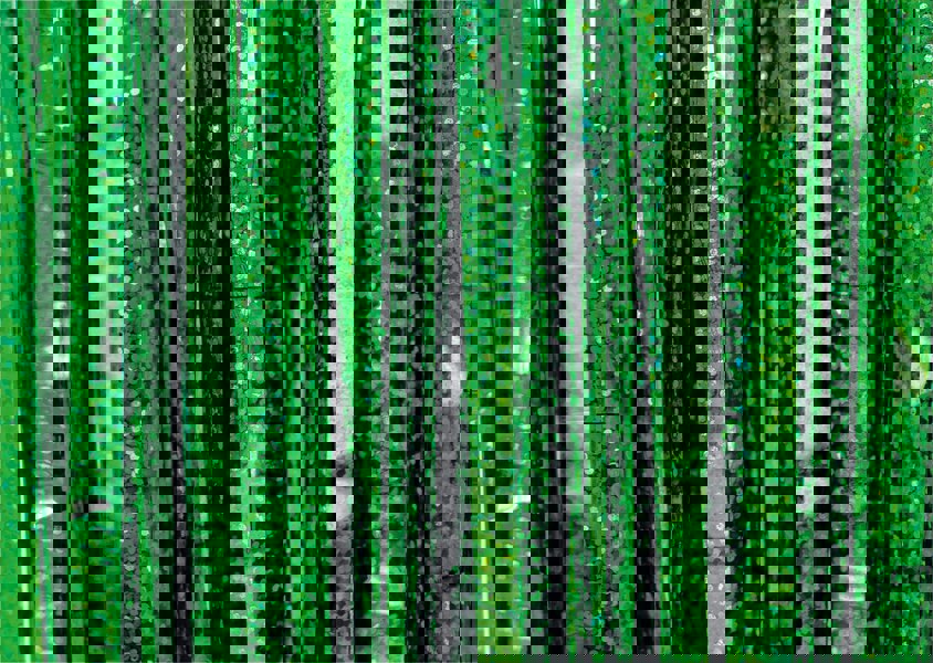 Cheetah Shimmer Tinsel Curtain, 2.5M x 1M Green