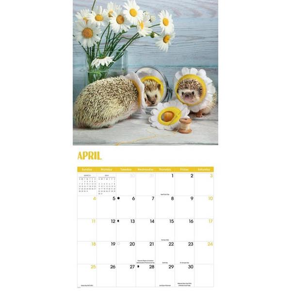 Hedgehogs! Calendar 2027, Wall Calendars, Month To View, Animals, Gift