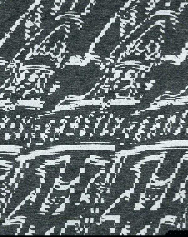 Hotel Transylvania Mens Grey Logo Short Sleeved T-Shirt