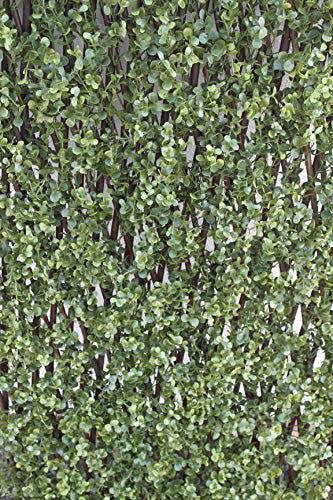 The Garden Marketplace Expanding Willow Garden Trellis with Buxus Leaves, 2m x 1m Extendable Privacy Screen Panel, Decorative Greenery Fence Cover