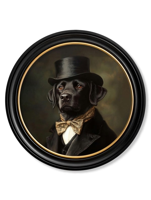  Lord Wagsalot - Oxford round frame