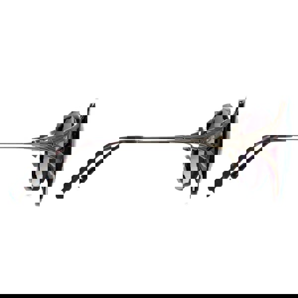 INVU Sunglasses B2117 C Dark Tortoise Purple Demi Gold Purple Polarized