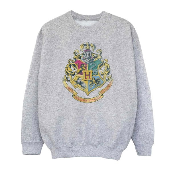 Harry Potter Girls Hogwarts Houses Cotton Sweatshirt - Sports Grey