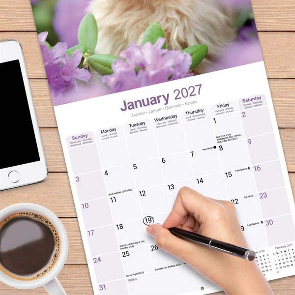 Norwich & Norfolk Terrier Calendar 2027, Wall Calendars, Month To View, Dogs, Gift