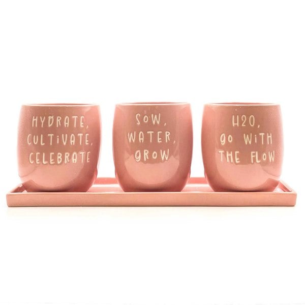 Scandi Home Set of 3 Pink Ceramic Slogan Planters