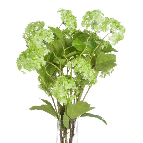 Wyld Haus Set of 3 Artificial Flowers Green Viburnum Sprays