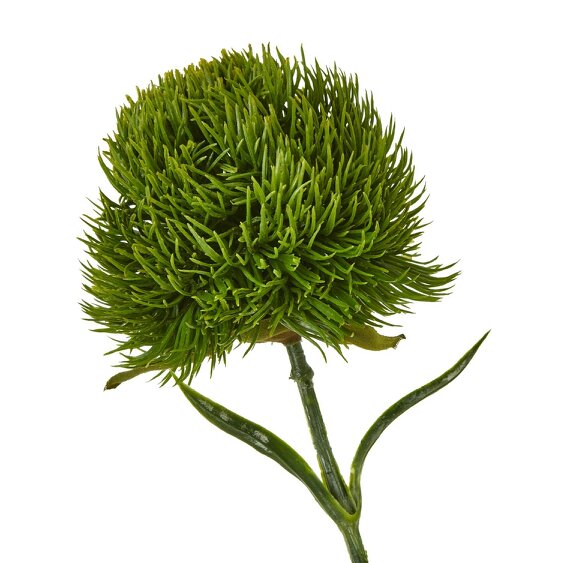 Wyld Haus Set of 3 Artificial Flowers Dark Green Dianthus Stems