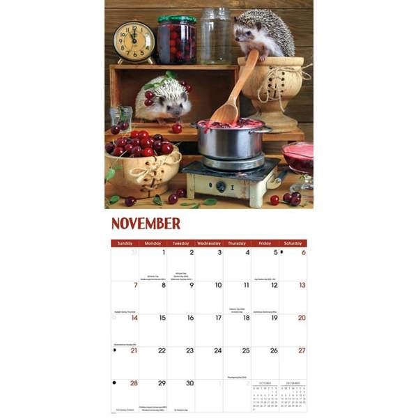 Hedgehogs! Calendar 2027, Wall Calendars, Month To View, Animals, Gift