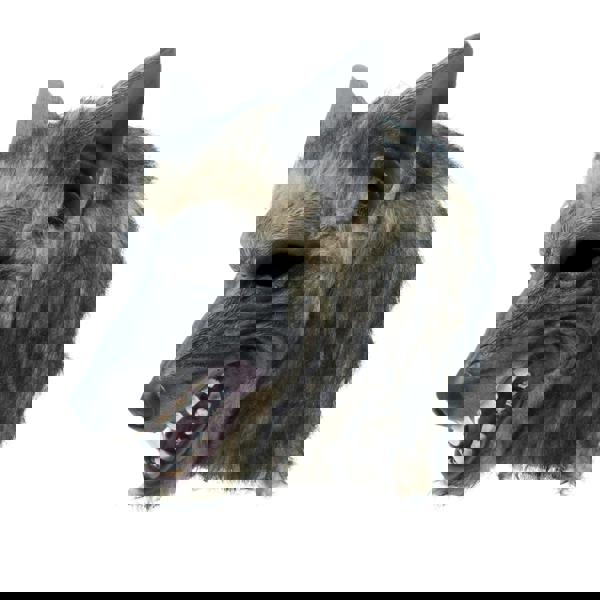 Bristol Novelty Unisex Adults Brindle Effect Wolf Mask - Multicoloured - 