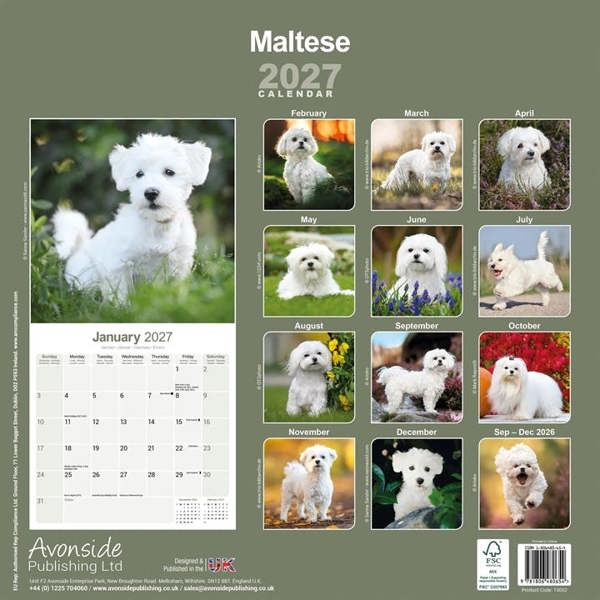 Maltese Calendar 2027, Wall Calendars, Month To View, Dogs, Gift