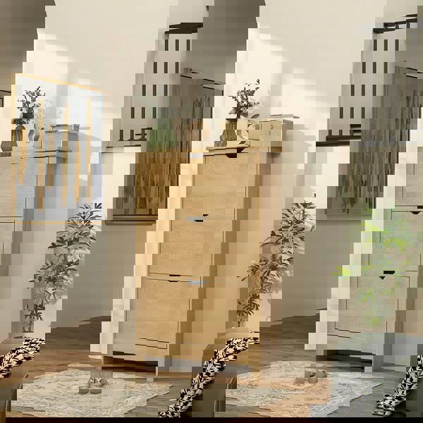 Flip-down Shoe Cabinet