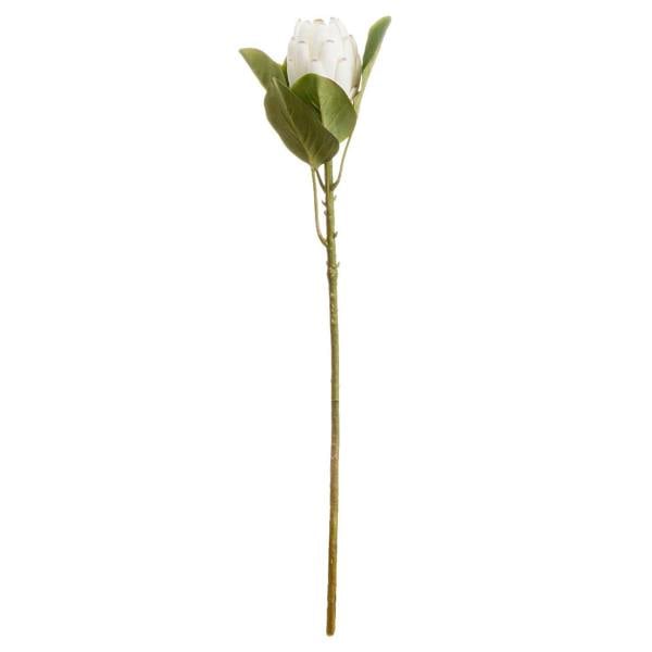Wyld Haus Set of 3 Artificial Flowers Closed White Protea Stems