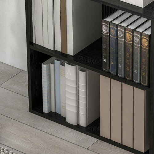 Wyld Haus Rokepa Wood Black Low 2 Tier Bookcase With Adjustable Shelves