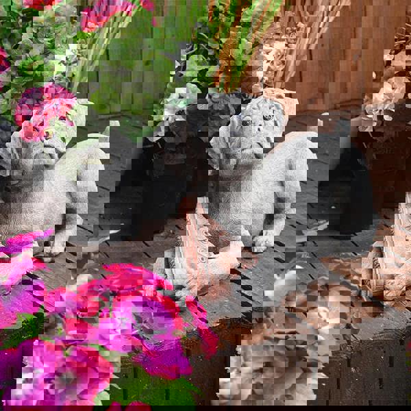 Dog and Shoe Stone Garden Ornament