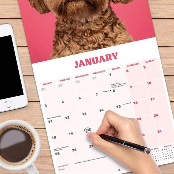 Cockapoo Calendar 2027, Wall Calendars, Month To View, Dogs, Gift