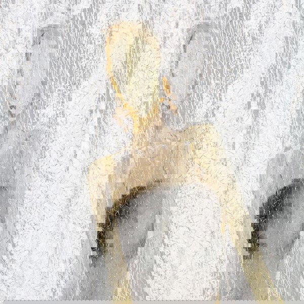 Model Framed Wall Art Print 40*60cm-Weilai-Weilai Concept