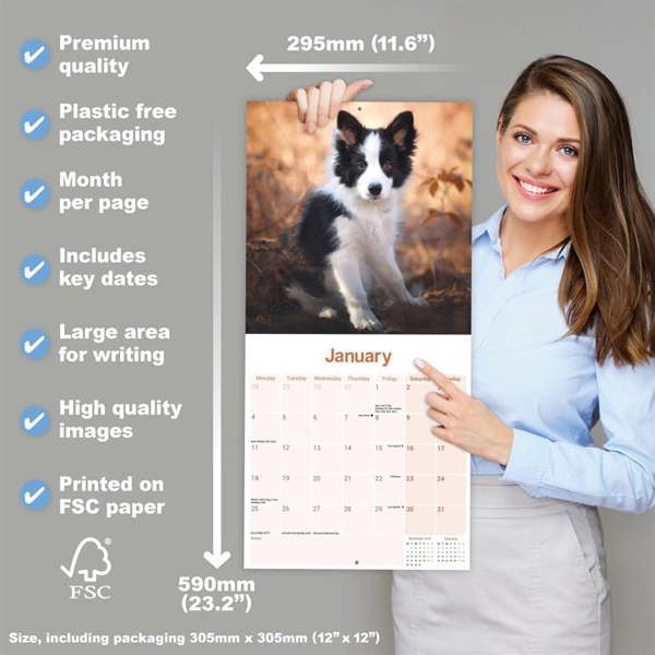 Border Collie Calendar 2027, Wall Calendars, Month To View, Dogs, Gift
