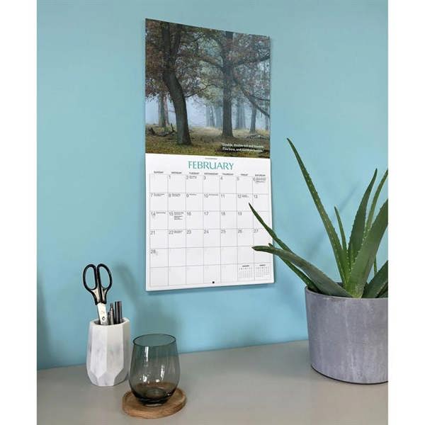 Witchcraft Witches Woods Calendar 2027, Wall Calendars, Month To View, History & Literature, Gift