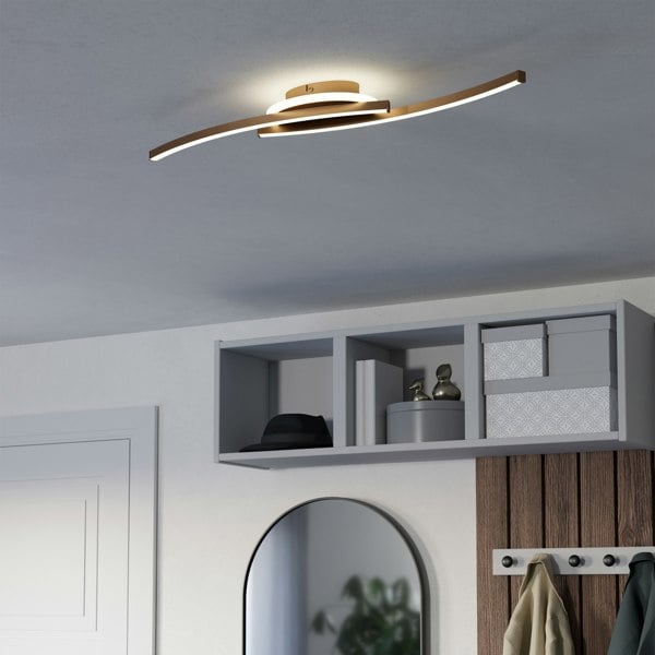 EGLO Lungolago Bronze Steel Minimalist Ceiling Light