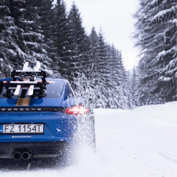 TreeFrog 365 Ski Snowboard Carrier Rack Suction Mounted Roof Rack Universal Fit