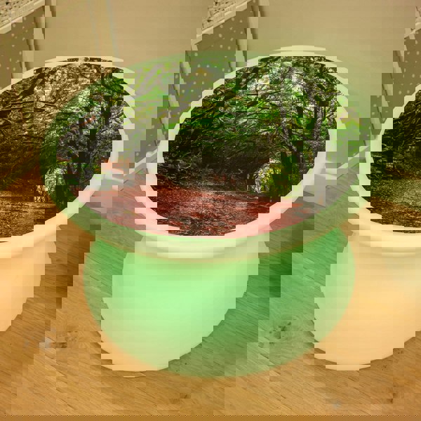 tickit Forest Discovery Play Mat