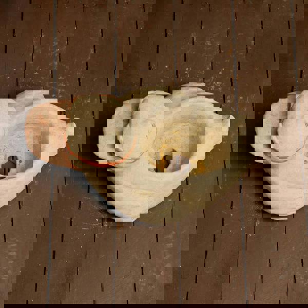 Whimsical Stone Cast Rubber Duck Planter Pot