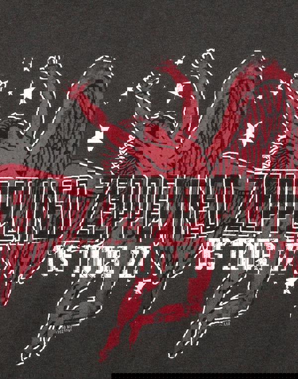 Amplified Clothing Womens Grey Led Zeppelin Cropped Short Sleeved T-Shirt