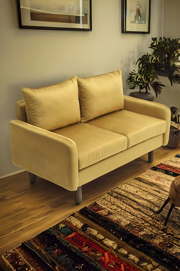 Living and Home 2-Seat Velvet Upholstered Sofa for Living Room