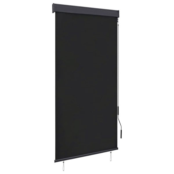 Berkfield Outdoor Roller Blind 80x250 cm Anthracite