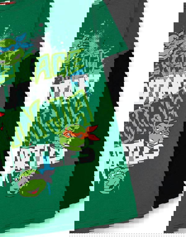 Teenage Mutant Ninja Turtles Boys Green Stacked Text Long Sleeved T-Shirt