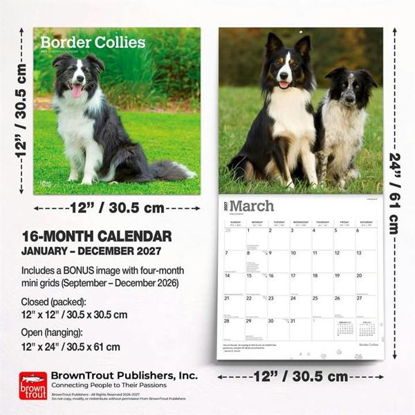 Border Collies Calendar 2027, Wall Calendars, Month To View, Dogs, Gift