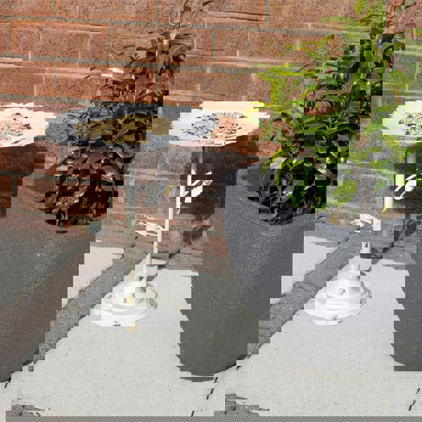 St Helens Ornamental Free Standing, Weather Resistant, Pedestal Style, Easy Assemble Bird Bath