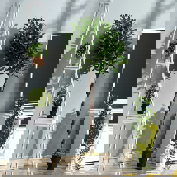 Artificial Plants
