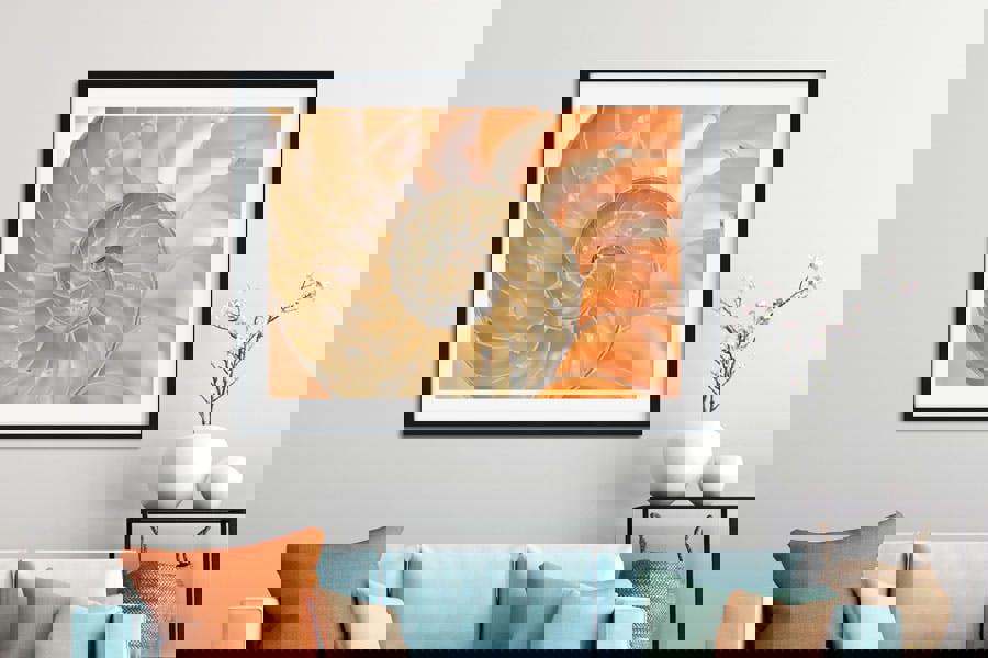 Nautilus fossil fine art print