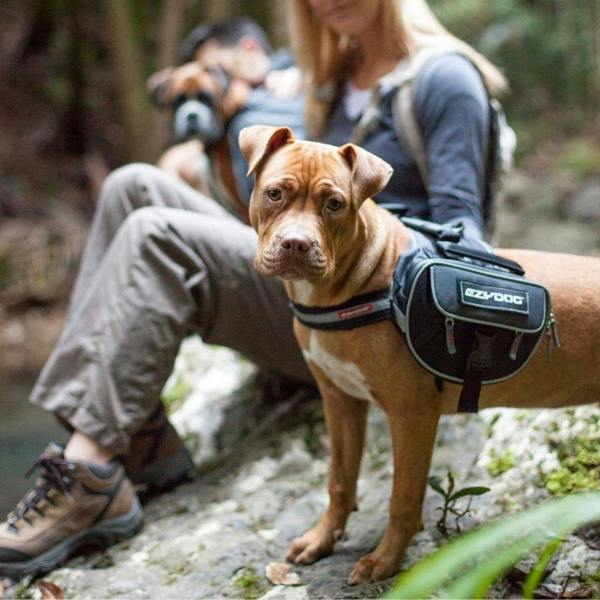 EzyDog Convert Saddle Bags for Express Harness