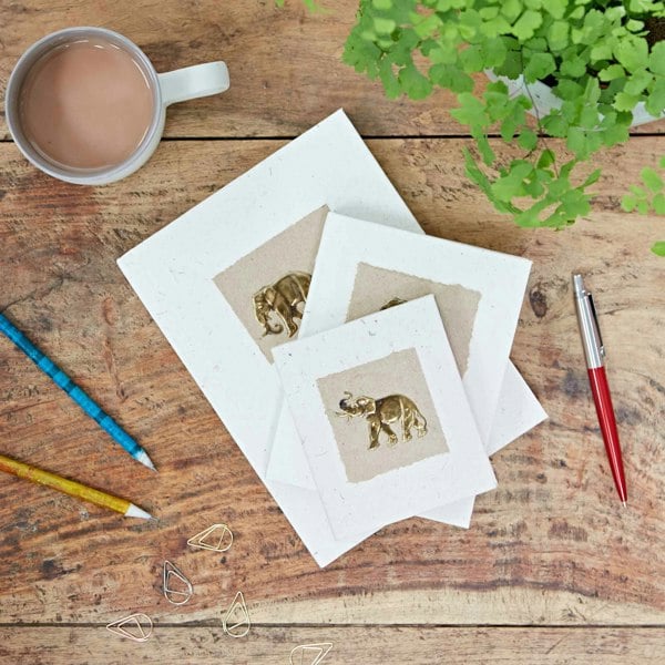 Elephant Dung Notebooks sit on a wooden table, accompanied by a steaming coffee cup, pencils, a red pen, scattered paper clips, and a potted plant adding greenery in the corner.