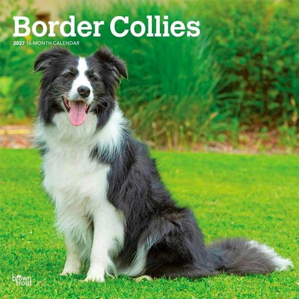 Border Collies Calendar 2027, Wall Calendars, Month To View, Dogs, Gift