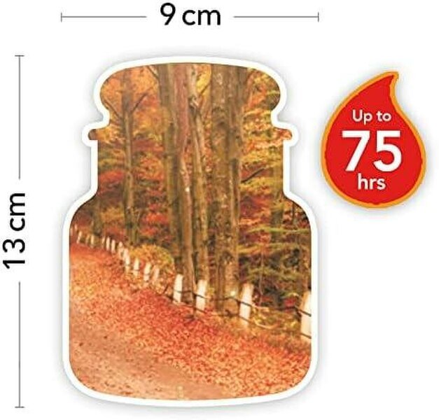 Yankee Candle Woodland Road Trip Medium Scented Jar Candle 411g