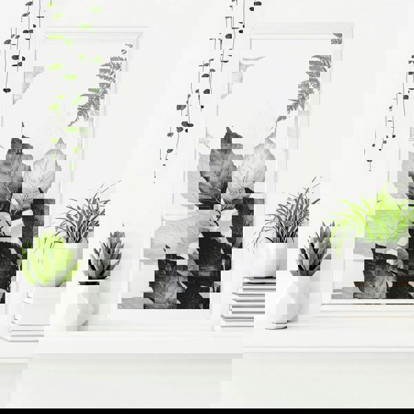 Bathroom Wall Prints | Set of 3 Botanical Wall art Prints