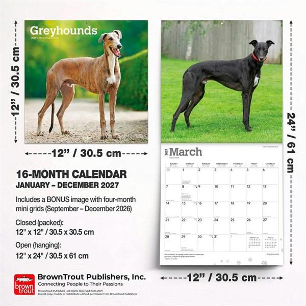 Greyhounds Calendar 2027, Wall Calendars, Month To View, Dogs, Gift