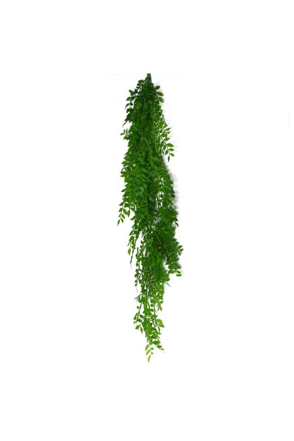 Dyzi 100cm Hanging String of Pearls Fern Plant Light Green