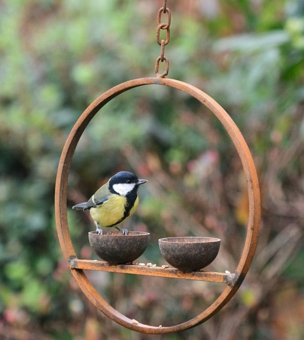 metal hanging bird feeder