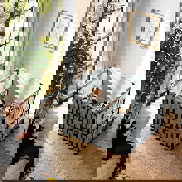 D06-247V00BK