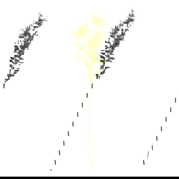 Hill Interiors Sea Holly Spray Artificial Flower - Green - 