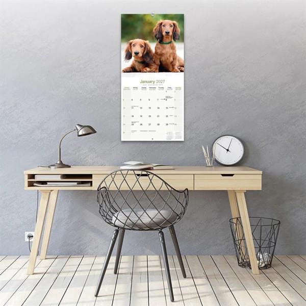 Long Haired Dachshund Calendar 2027, Wall Calendars, Month To View, Dogs, Gift
