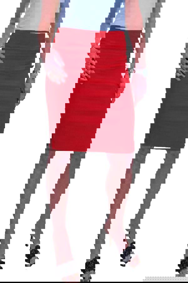 Paulo Due Women's Stretch Above Knee Pencil Skirt