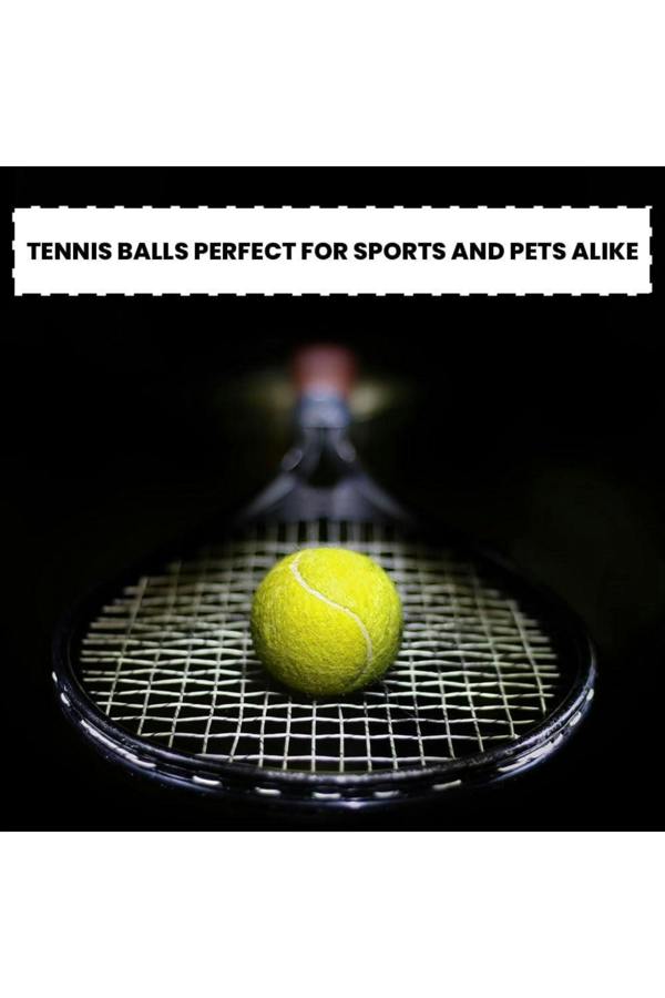Dyzi Pressureless Tennis Training Balls 12 Pack with Carry Bag Light Green