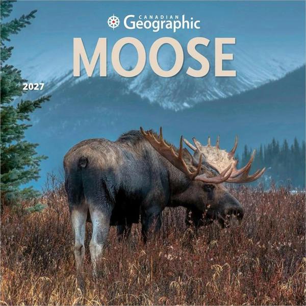 Moose Calendar 2027, Wall Calendars, Month To View, Animals, Gift