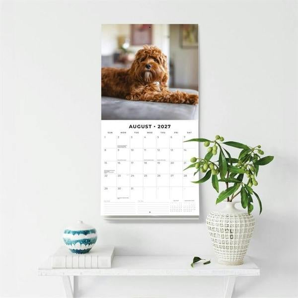 Cavapoos Calendar 2027, Wall Calendars, Month To View, Dogs, Gift